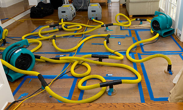 Professional Flood Damage Restoration technician working in Baden, PA
